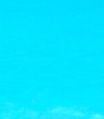 Profile picture of Dave